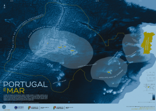 PNG - 736.2 kio